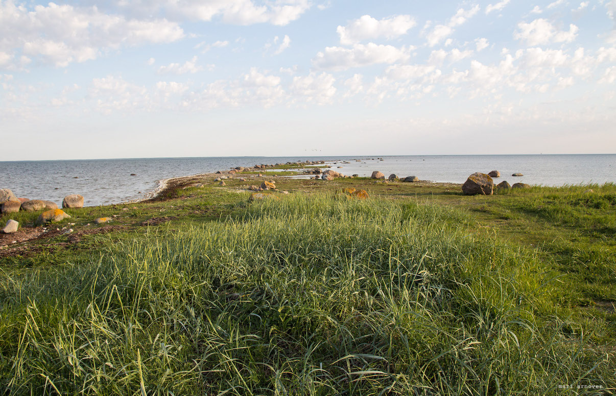 Kliendiuuringud